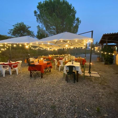 Podere Ripabianca Riparbella Ngoại thất bức ảnh