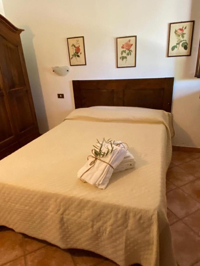 Podere Ripabianca Riparbella Ngoại thất bức ảnh